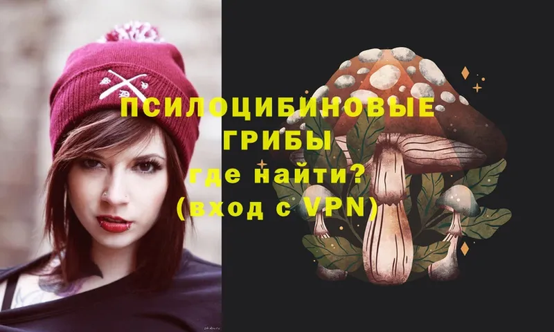 Галлюциногенные грибы Magic Shrooms  Красный Холм 